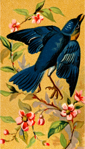 Bluebird ritning
