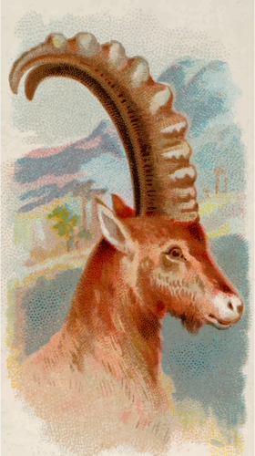 IBEX obrazu