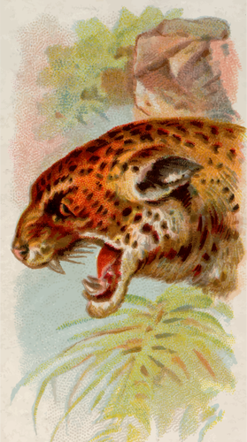 Illustrazione di Jaguar