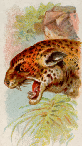 Jaguar illustration