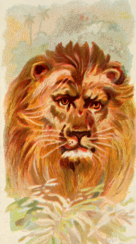 Leão pintado