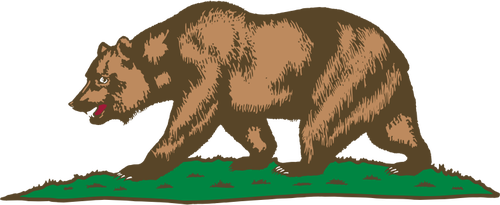 דוב הליכה על הדשא בתמונה וקטורית