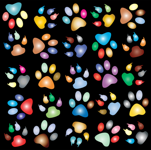 Paw pattern