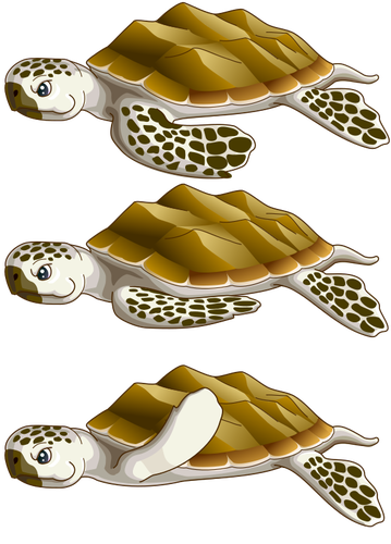 Havssköldpaddor