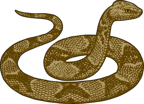 Imagen de serpiente Copperhead