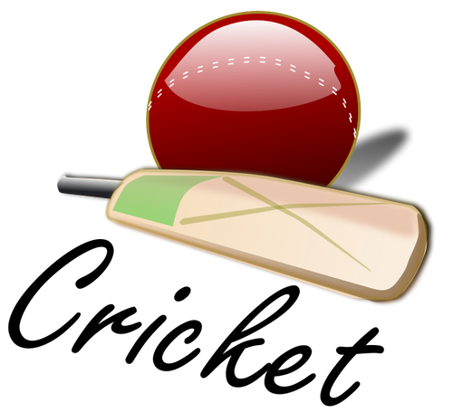 Kriket pálku a míč vektorový obrázek