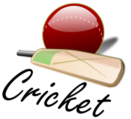 Cricket bat och bollen vektorbild