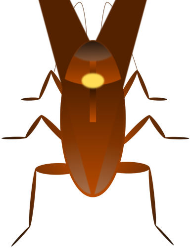 Cockroach illustration