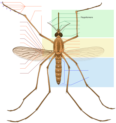 Mosquito части