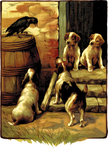 Perros y aves