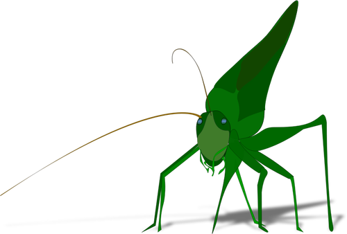 Векторное изображение зеленый кузнечик