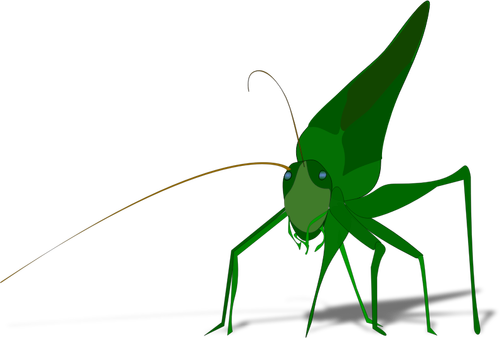 Vector image of green grasshopper