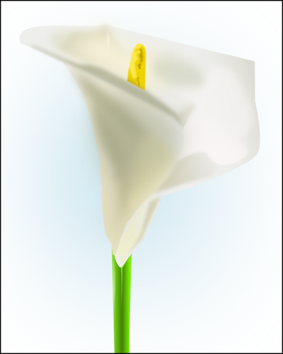 Lilly bloem vector afbeelding