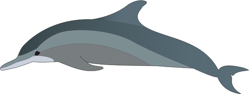 Perfil de los delfines