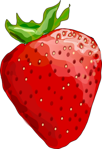 Vector illustration of shiny strawberry