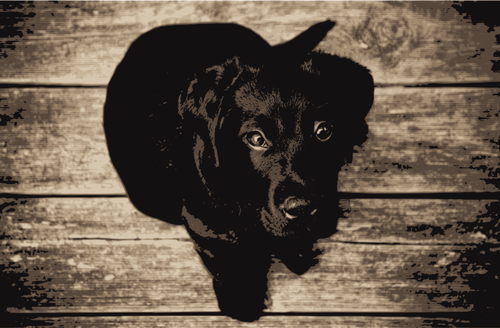 Labrador Retriever vektor ClipArt