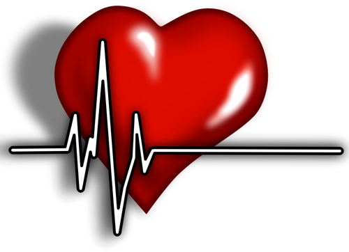 Een hart met ECG complexe vectorillustratie