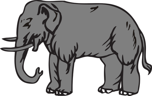 Grande elefante vector clipart