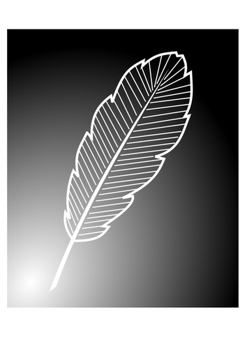 Inverted feather image