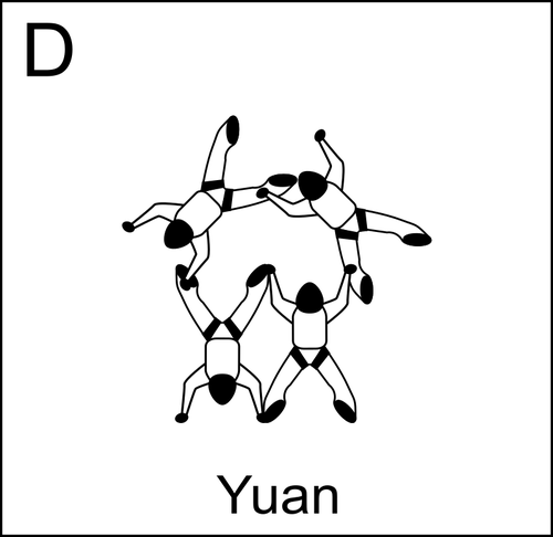 黑色和白色的 D 卡