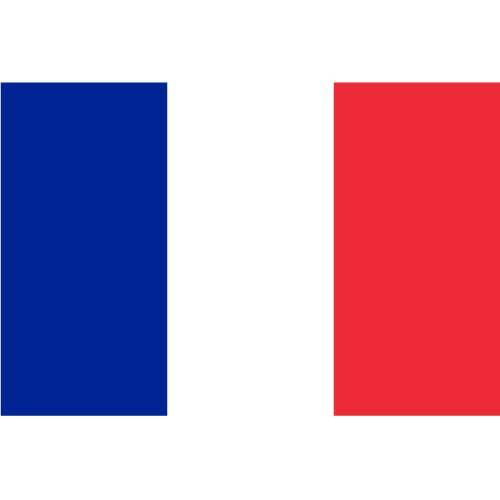 फ्रांसीसी झंडा वेक्टर