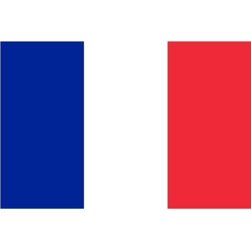 Vector bandera francesa