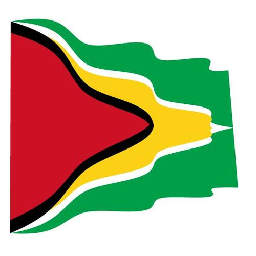 Vågig flagga Guyana