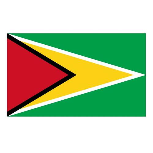 Guyana Cumhuriyeti bayrağı