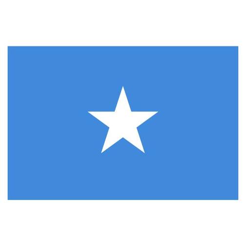 Vector flagga Somalia