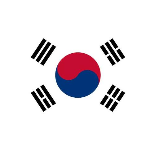 Vector bandera de Corea del sur