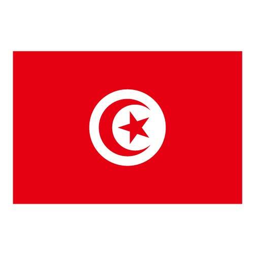 Bandiera vettoriale della Tunisia