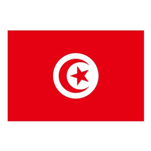 Tunisian vektorilippu