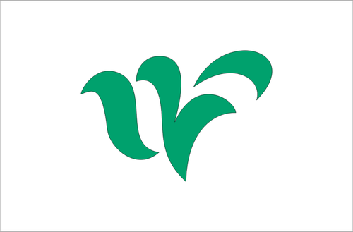 Флаг Вакаса, Фукуи
