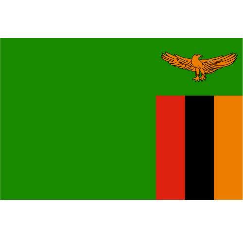 Bendera vektor Zambia