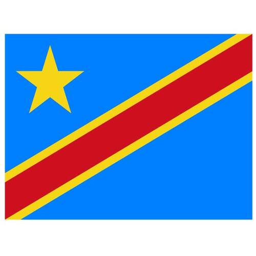 Vlag van Congo-Kinshasa