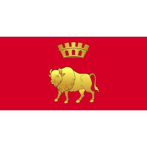 Hrodna bölge bayrağı