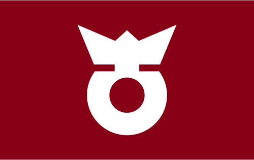 Bandera de Koza, Wakayama