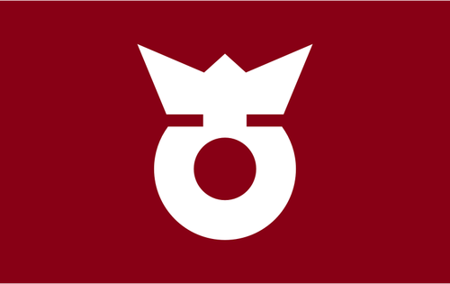 Drapeau de Koza, Wakayama