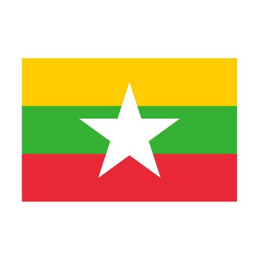 Vector flagg Myanmar