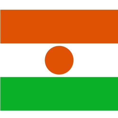 Nigerin vektorilippu