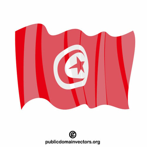 Flap della Tunisia