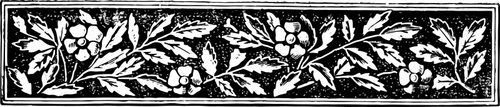 Vannrett floral banner vector illustrasjon