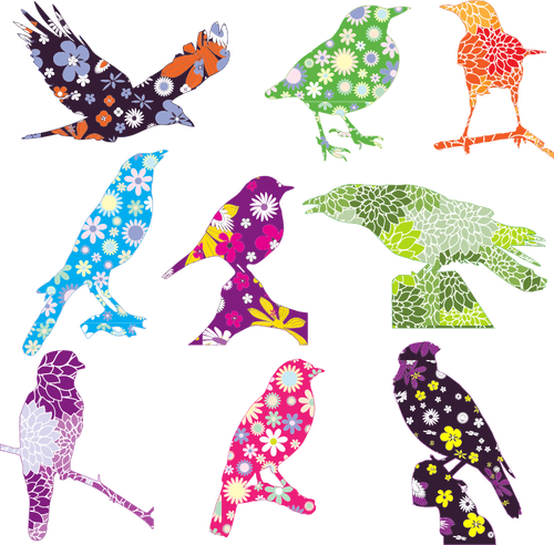 Vektorigrafiikka lintujen valikoimasta, jossa on kukkakuvio