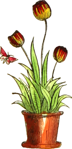 Vaso tulipano