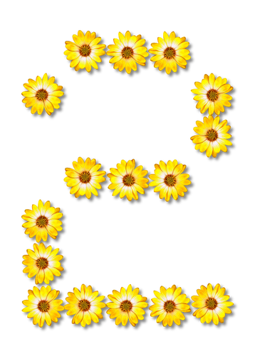 Flores número dos