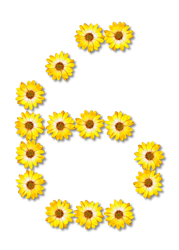 Flores número 6