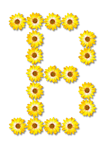 Fleuri lettre D