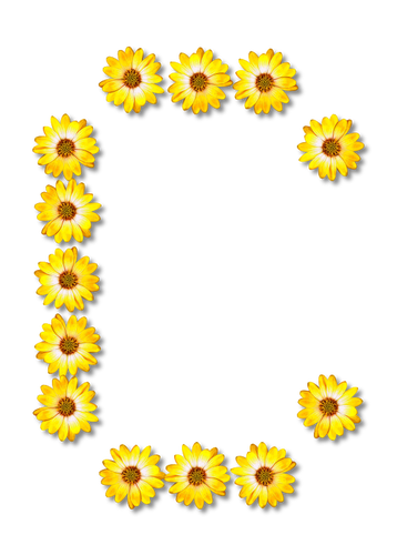 Letra flores C
