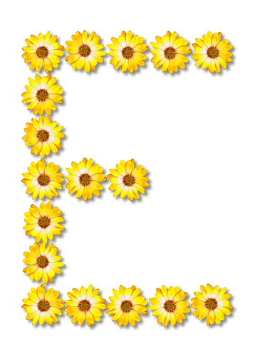 Floral Buchstabe E