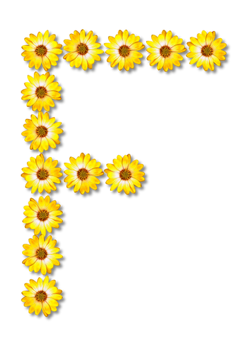 Floral Buchstabe F